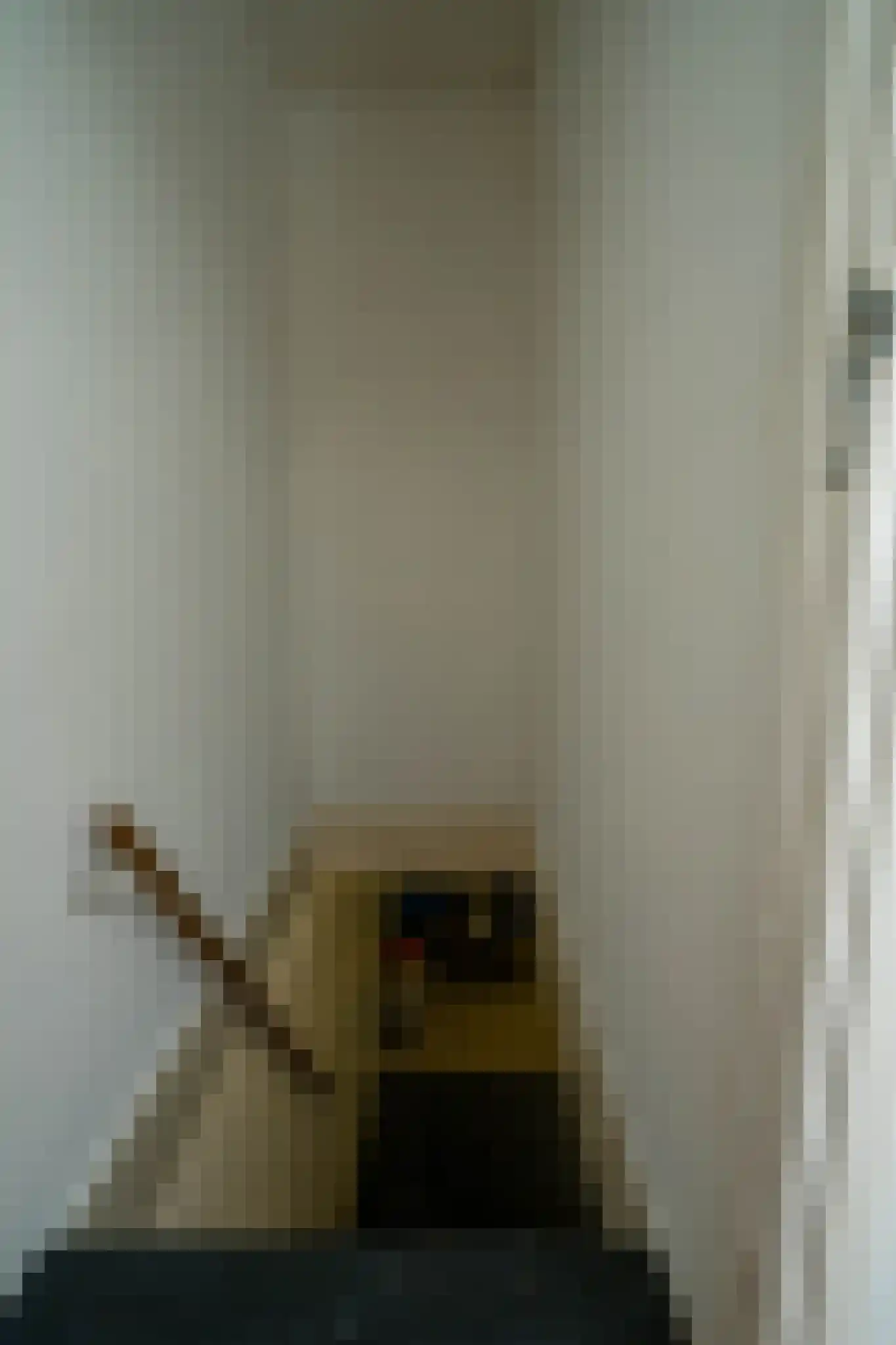 Schoolstraat 24 Bakel thumbnail 17