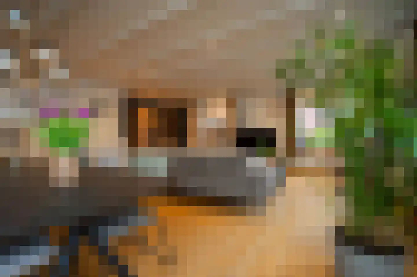 Schoolstraat 24 Bakel thumbnail 37