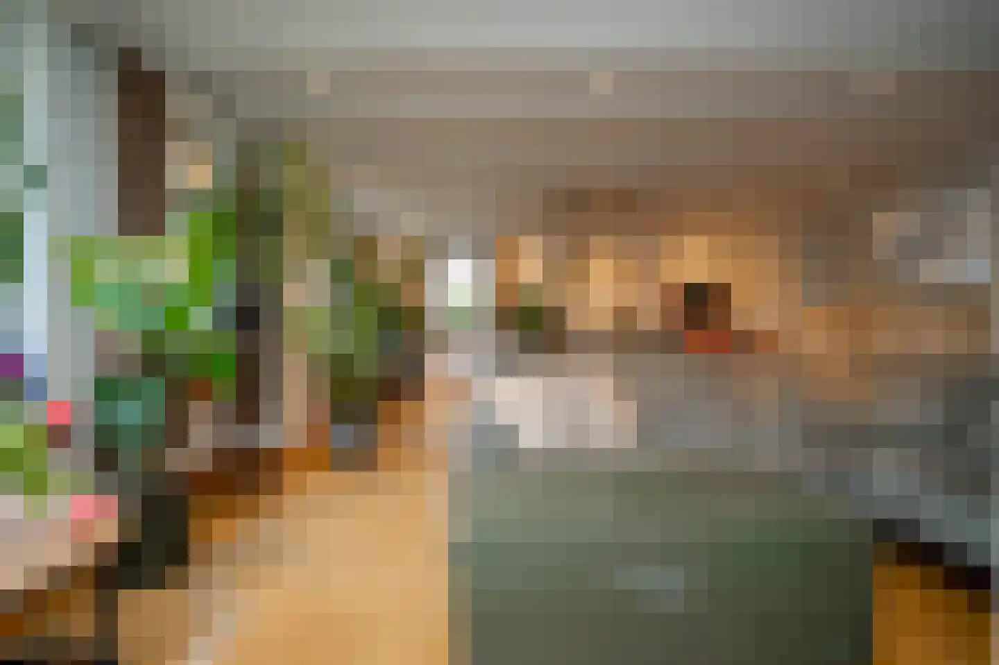 Schoolstraat 24 Bakel thumbnail 38