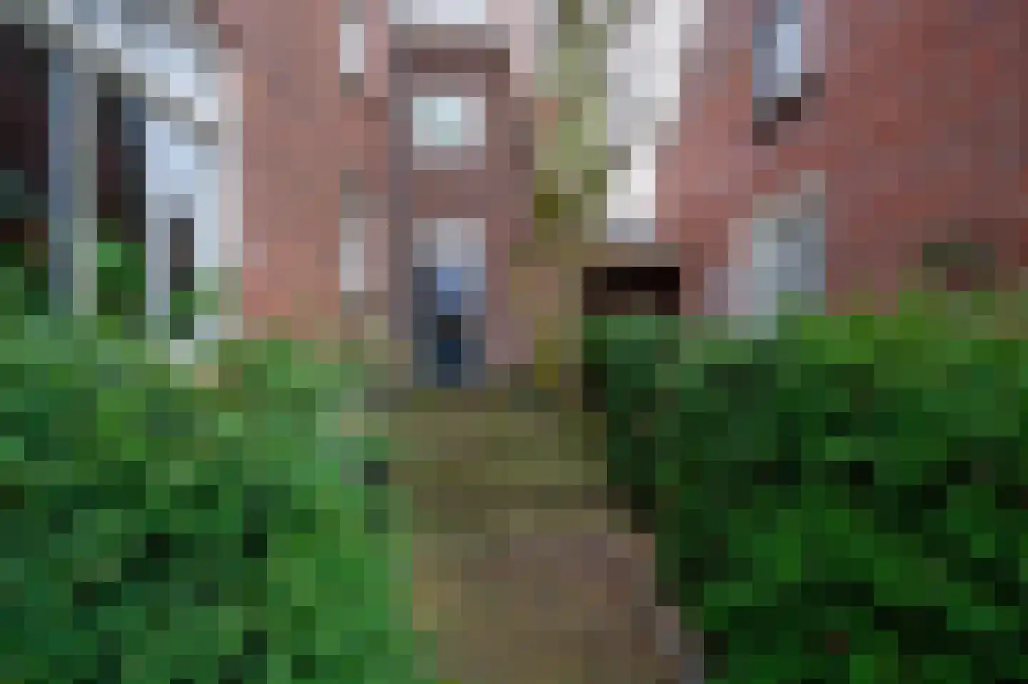 Schoolstraat 24 Bakel thumbnail 8
