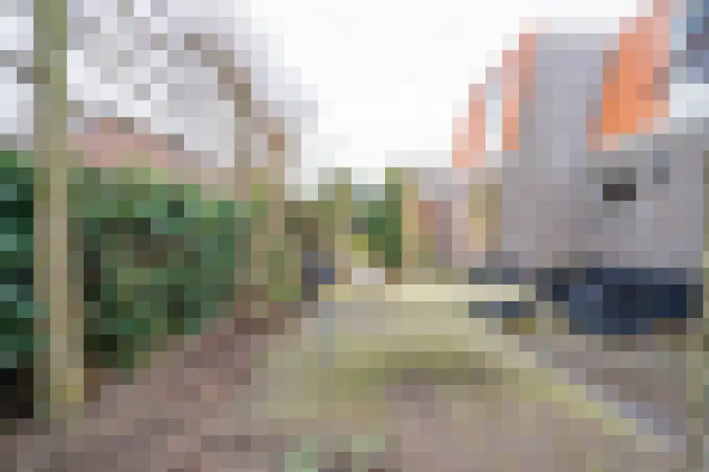 Schoolstraat 24 Bakel thumbnail 82