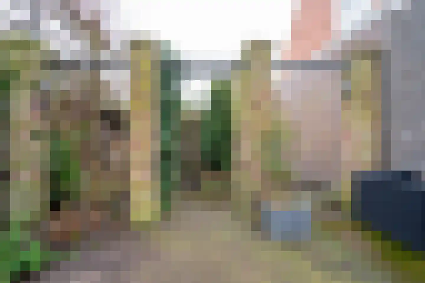 Schoolstraat 24 Bakel thumbnail 83