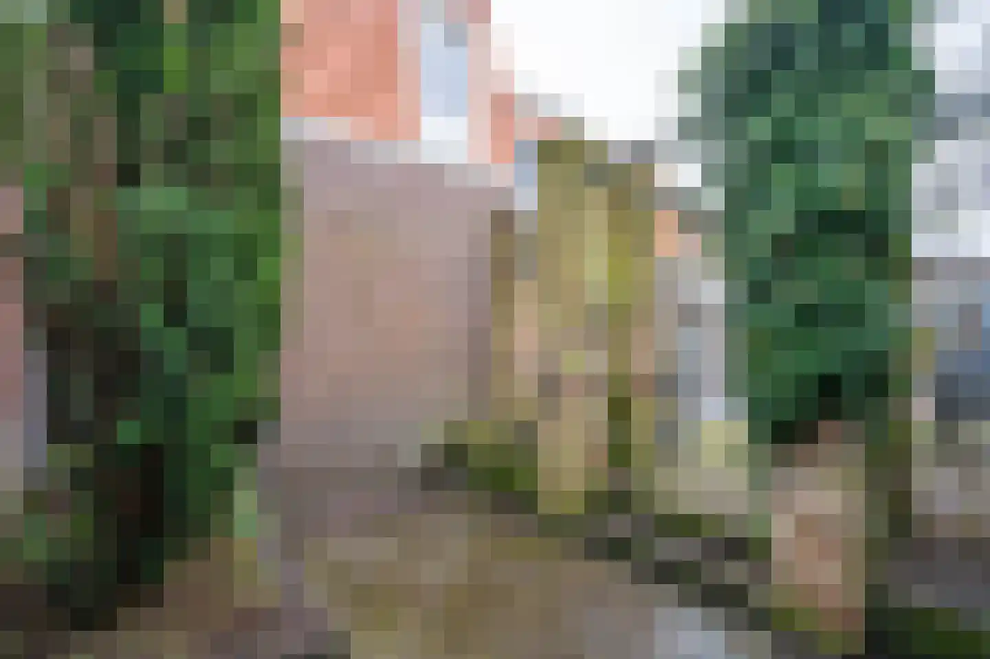 Schoolstraat 24 Bakel thumbnail 84