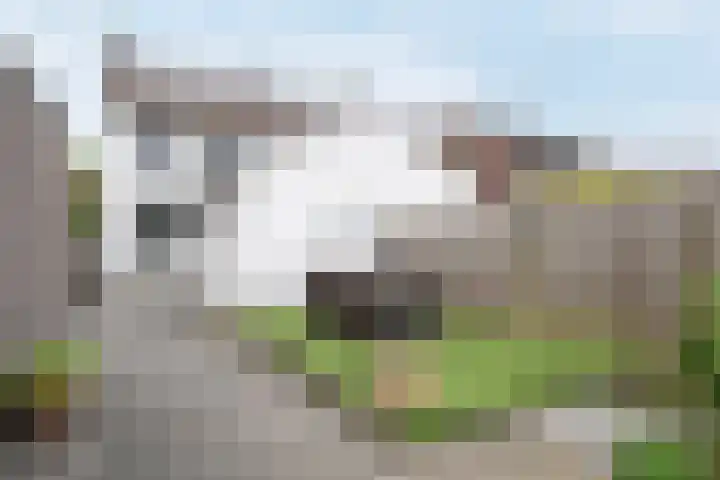 Schoolstraat 24 Grevenbicht thumbnail 18