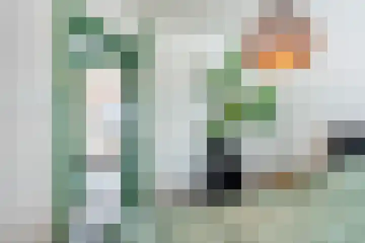 Schoolstraat 24 Grevenbicht thumbnail 24