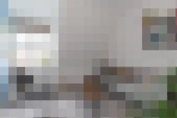 Schoolstraat 24 Sneek thumbnail 25