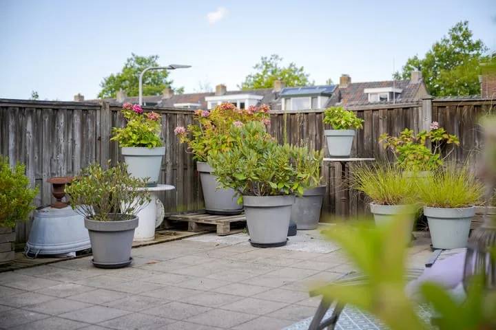 Schoolstraat 24 Voorschoten thumbnail 41