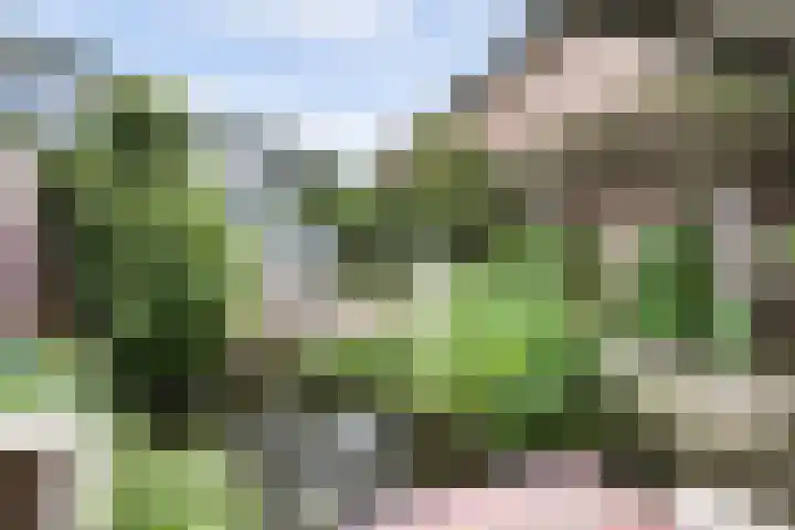 Schoolstraat 25 Aerdt thumbnail 39