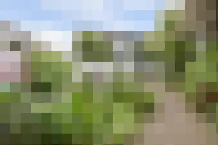 Schoolstraat 25 Aerdt thumbnail 40