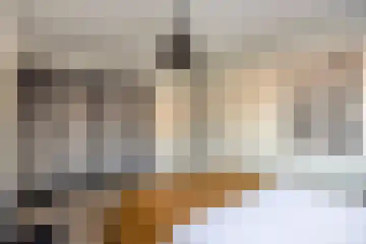 Schoolstraat 25 Echt thumbnail 19