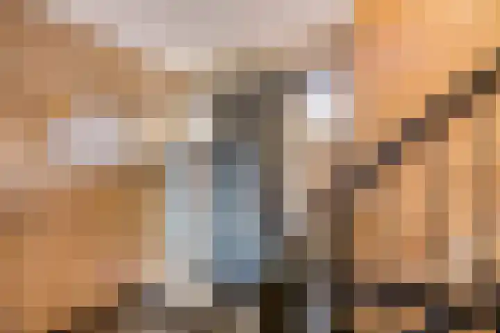 Schoolstraat 25 Echt thumbnail 28