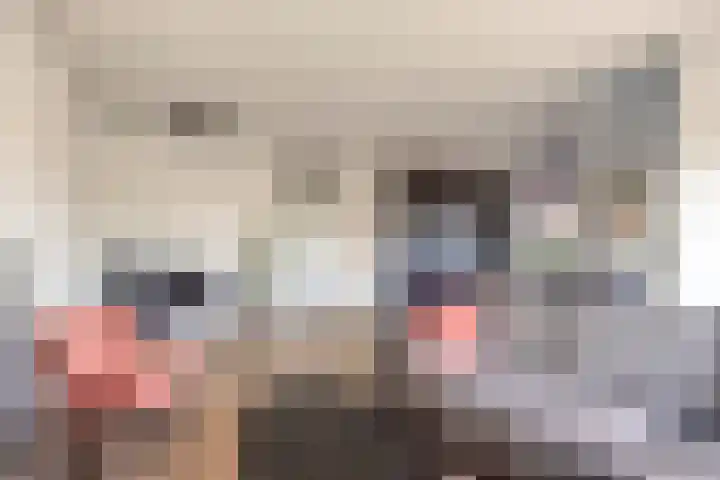 Schoolstraat 25 Echt thumbnail 5