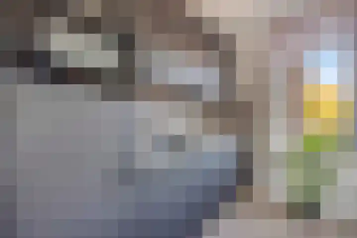 Schoolstraat 25 Echt thumbnail 8