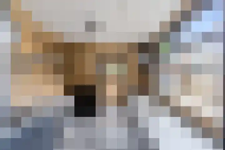 Schoolstraat 25 Krimpen aan de Lek thumbnail 11