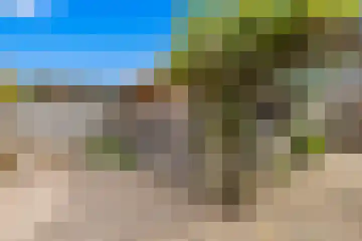 Schoolstraat 25 Krimpen aan de Lek thumbnail 17