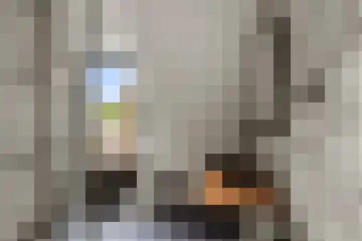 Schoolstraat 25 Krimpen aan de Lek thumbnail 33