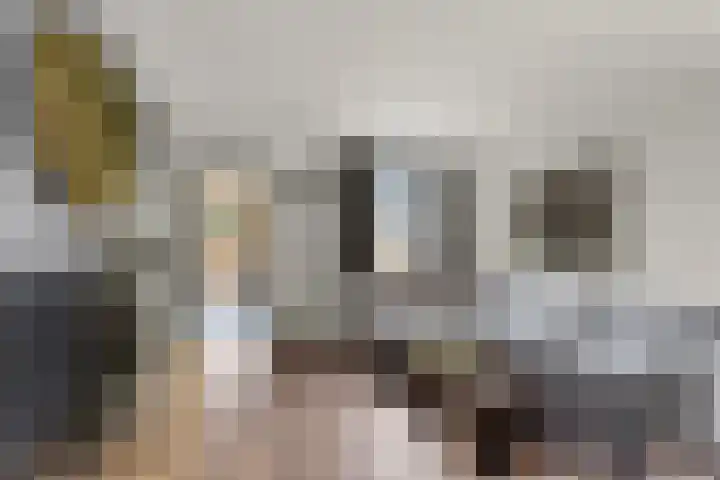Schoolstraat 25 Krimpen aan de Lek thumbnail 4