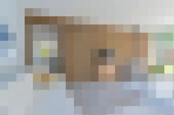 Schoolstraat 25 Rolde thumbnail 30