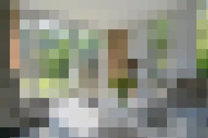 Schoolstraat 25 Rolde thumbnail 33