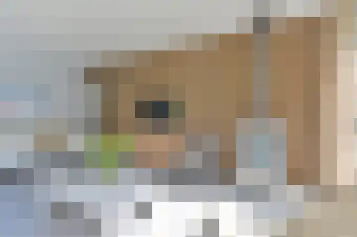 Schoolstraat 25 Rolde thumbnail 35