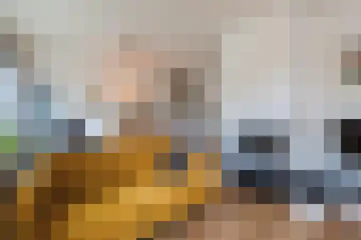 Schoolstraat 25 Ruinerwold thumbnail 11
