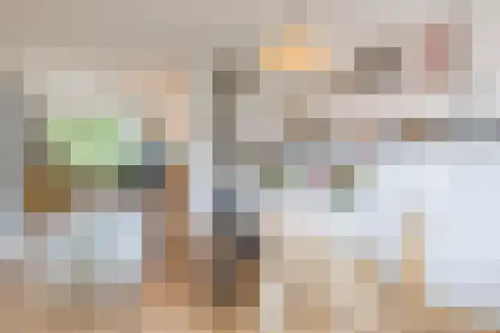 Schoolstraat 25 Ruinerwold thumbnail 15