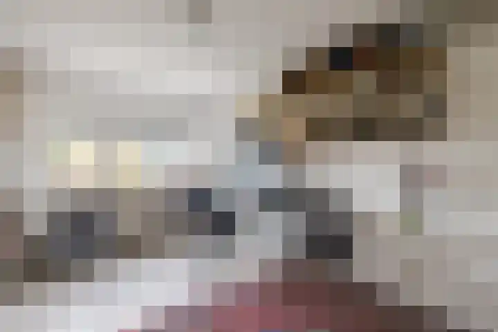 Schoolstraat 25 Ruinerwold thumbnail 31