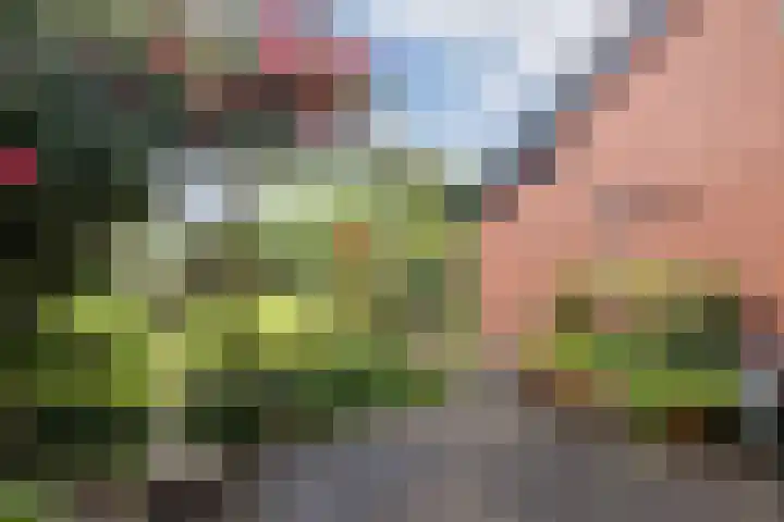 Schoolstraat 25 Ruinerwold thumbnail 45