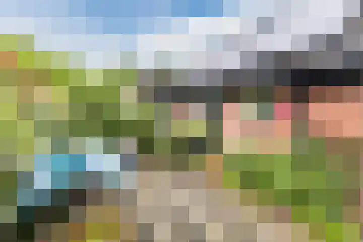 Schoolstraat 25 Ruinerwold thumbnail 47