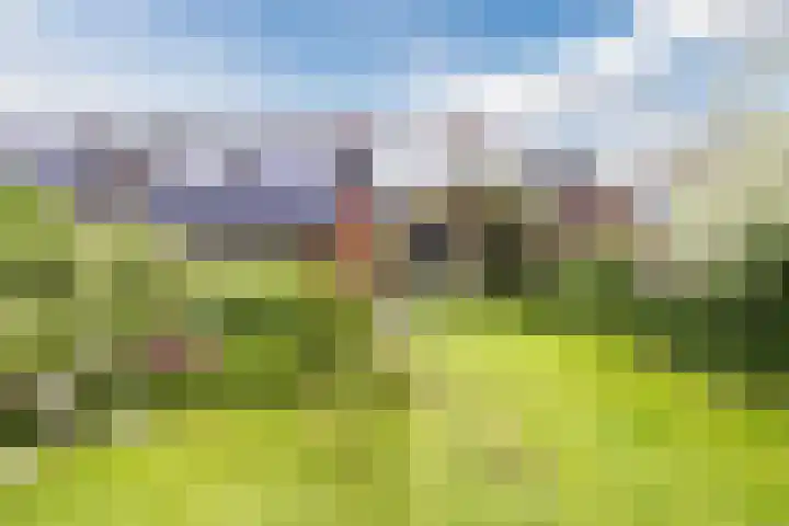 Schoolstraat 25 Ruinerwold thumbnail 55