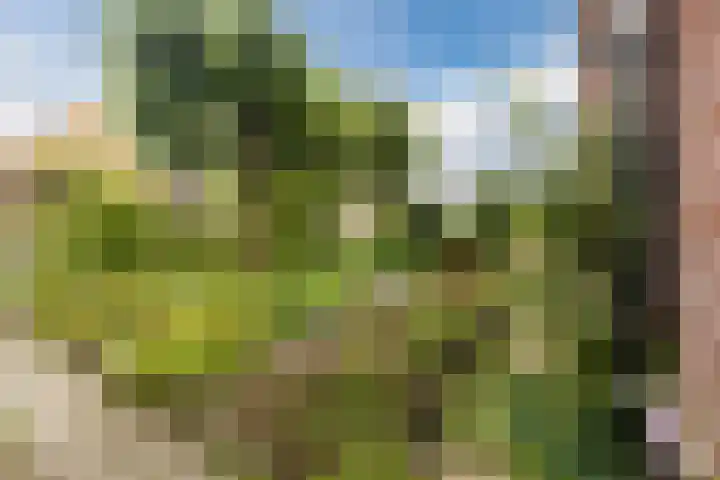 Schoolstraat 25 Ruinerwold thumbnail 8