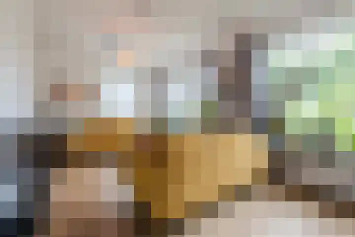 Schoolstraat 25 Ruinerwold thumbnail 9