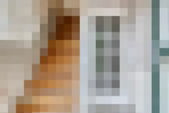 Schoolstraat 25 Silvolde thumbnail 18