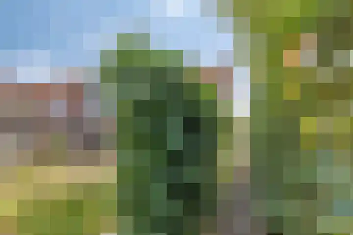 Schoolstraat 25 Silvolde thumbnail 35