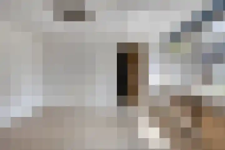 Schoolstraat 25 Silvolde thumbnail 38