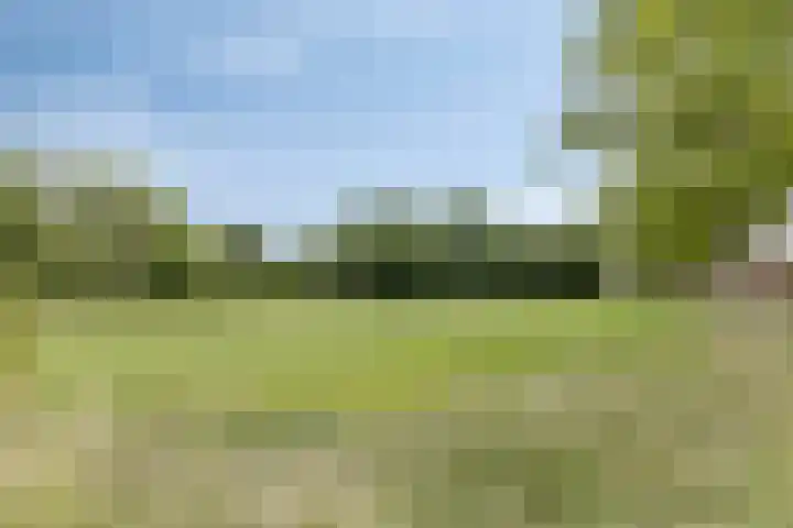 Schoolstraat 25 Silvolde thumbnail 42