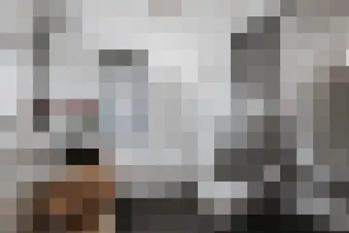 Schoolstraat 25 Twello thumbnail 17
