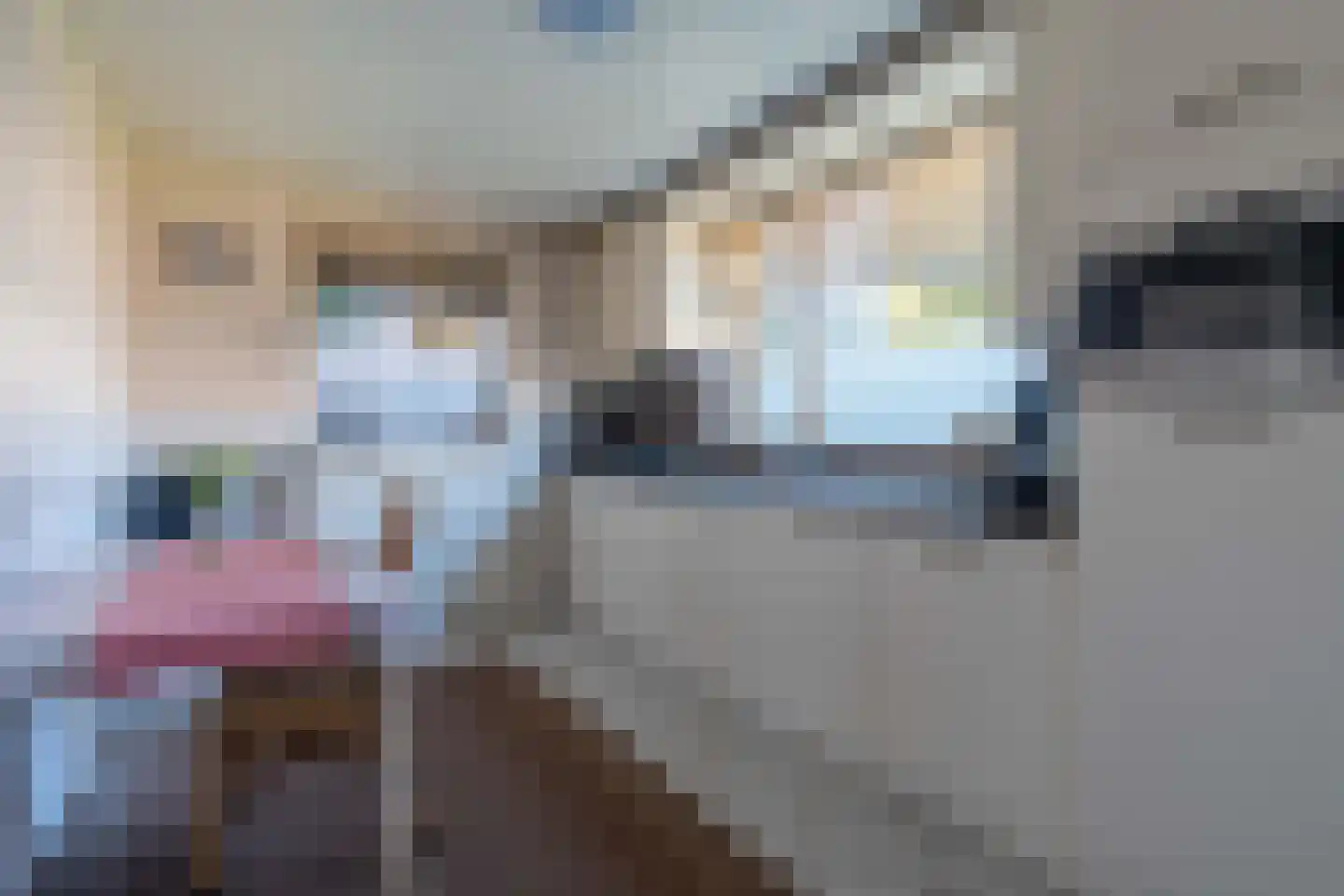 Schoolstraat 26 Bakel thumbnail 13