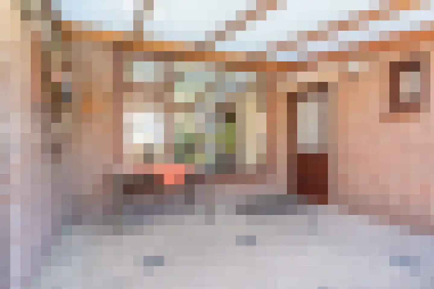Schoolstraat 26 Bakel thumbnail 33