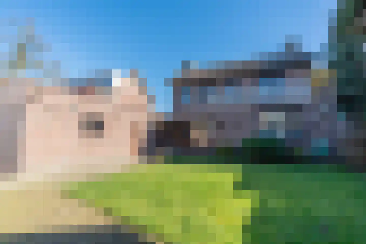 Schoolstraat 26 Bakel thumbnail 37