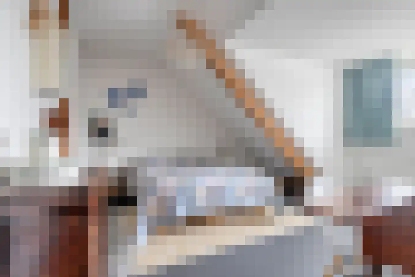 Schoolstraat 26 e Krimpen aan de Lek thumbnail 11