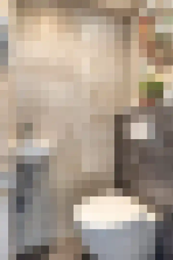 Schoolstraat 26 Halsteren thumbnail 13