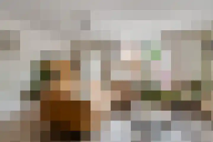 Schoolstraat 26 Halsteren thumbnail 14