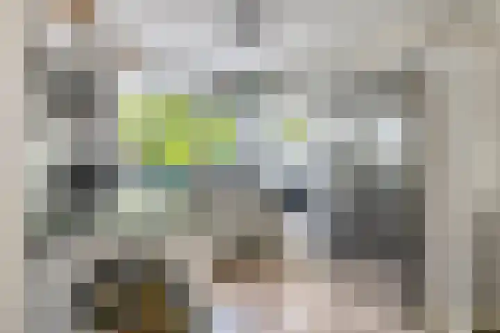 Schoolstraat 26 Halsteren thumbnail 18
