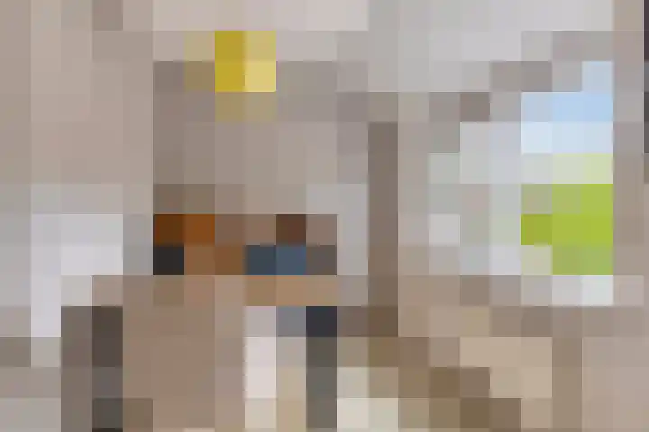 Schoolstraat 26 Halsteren thumbnail 25