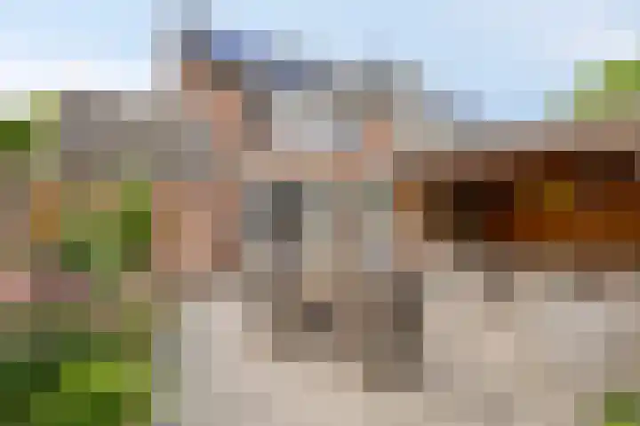 Schoolstraat 26 Halsteren thumbnail 30