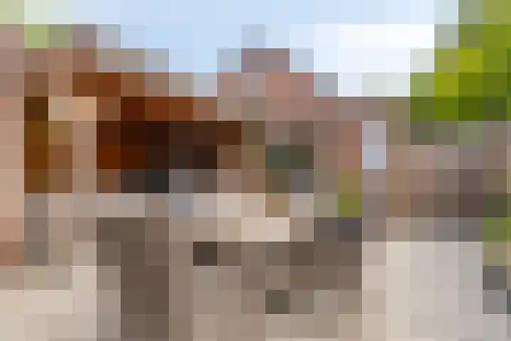 Schoolstraat 26 Halsteren thumbnail 31