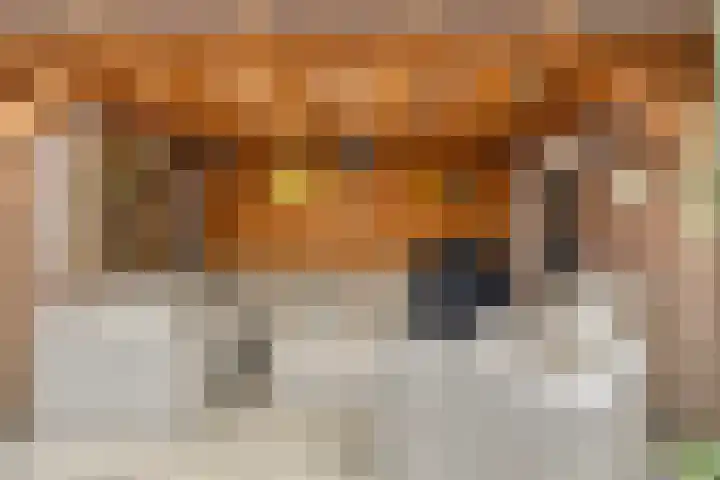 Schoolstraat 26 Halsteren thumbnail 32