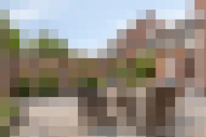 Schoolstraat 26 Halsteren thumbnail 33