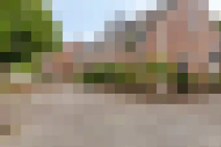 Schoolstraat 26 Halsteren thumbnail 8